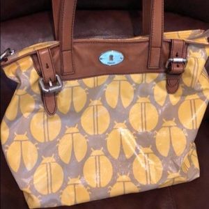 Fossil keeper tote